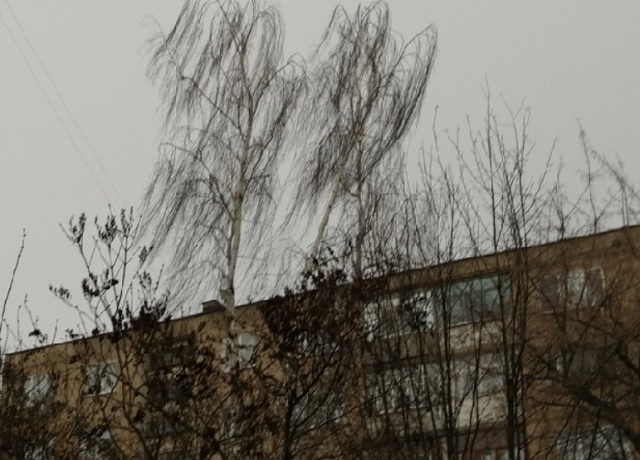 В ближайший час в Мордовия ожидается усиление юго-восточного ветра В ближайший час в Мордовия ожидается усиление юго-восточного ветра