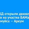На ВСЖД открыли движение поездов на участке БАМа Северомуйск – Аркум