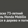В Ангарске 73-летний водитель Honda Mobilio врезался в дерево и погиб