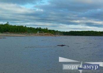 Мужчина пропал во время купания в Приамурье