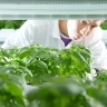 Более чем на 20 процентов увеличили объем отгруженных продуктов столичные предприятия пищевой промышленности в прошлом году