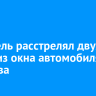 Водитель расстрелял двух собак из окна автомобиля в Маркова