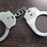 Велосипед с потрохами сдал объявленого в розыск костромича...
