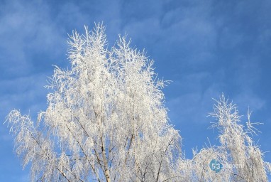 Будет холоднее. Новгородцам рассказали о погоде на 10 января