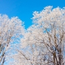 Ясно и +1°C днём: прогноз погоды в Сахалинской области на 10 марта