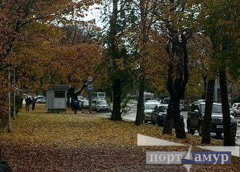 Ночные морозы под -20 и сильный ветер ждут в Амурской области