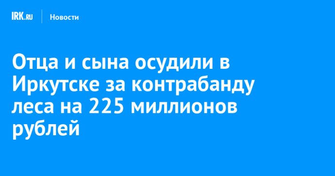 Отца и сына осудили в Иркутске за контрабанду леса на 225 миллионов рублей
