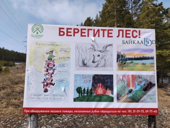 В Бурятии уже произошло 495 лесных пожаров