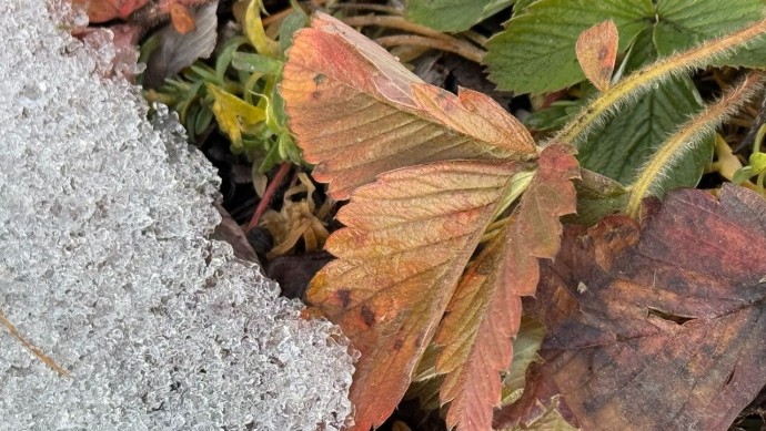 В Башкирии дали очень неожиданный прогноз на ноябрь и декабрь В Башкирии дали очень неожиданный прогноз на ноябрь и декабрь