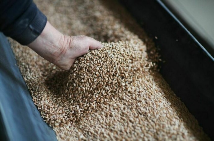 Поставщиков продуктов защитят от произвола торговых сетей