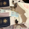 Жителей Камчатки заключили под стражу за изготовление «липовых» дипломов и санкнижек