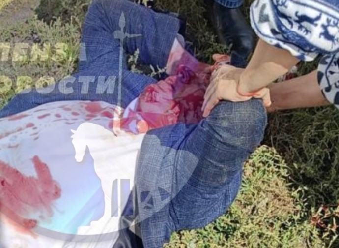 В правительстве Пензенской области рассказали, за что был избит Александр Помогайбо