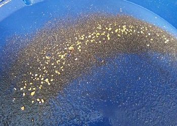 Амурчанину дали условно за кражу золота и серебра на полмиллиона Амурчанину дали условно за кражу золота и серебра на полмиллиона