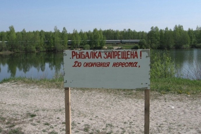 В Рязанской области вступили в силу запретные правила в период нереста рыбы