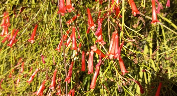 В Башкирии огорчили прогнозом на вторую половину октября В Башкирии огорчили прогнозом на вторую половину октября