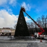 Новогодняя красавица: у КЦ «Октябрь» Белгорода наряжают еще одну праздничную ель