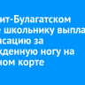 В Эхирит-Булагатском районе школьнику выплатили компенсацию за поврежденную ногу на школьном корте