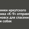 Сотрудники иркутского питомника «К-9» отправятся в Артемовск для спасения кошек и собак