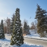 Воскресенье будет морозным и солнечным