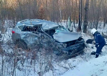 Трудинспекция проведет расследование по факту смертельного ДТП в Свободненском районе