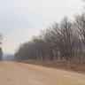 Режим повышенной готовности планируют ввести в Приамурье на майские праздники