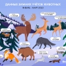В Белгородской области подвели итоги зимнего учёта животных (инфографика)
