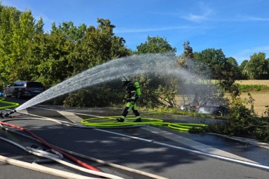 В Германии отец с двумя детьми сгорели заживо в запертой Tesla