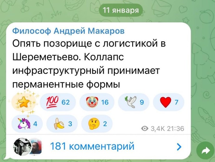 Профессор Макаров перевёл коллапс в Шереметьево в философские категории Профессор Макаров перевёл коллапс в Шереметьево в философские категории