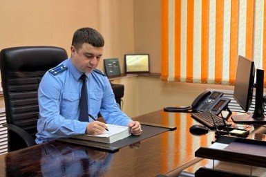 В Тынде незаконно спилили деревья, чтобы обезопасить линию электропередачи