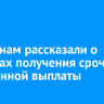 Россиянам рассказали о способах получения срочной пенсионной выплаты