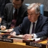 Генсек ООН призвал Индию и Пакистан к сдержанности