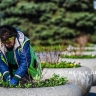 Как преображается с наступлением тепла парк Победы в Белгороде