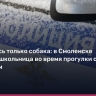 В Смоленске разыскивают 9-летнюю девочку, пропавшую после прогулки с собакой