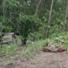 В Башкирии в страшной аварии погиб водитель «Лады Гранты»