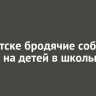В Иркутске бродячие собаки напали на детей в школьном дворе