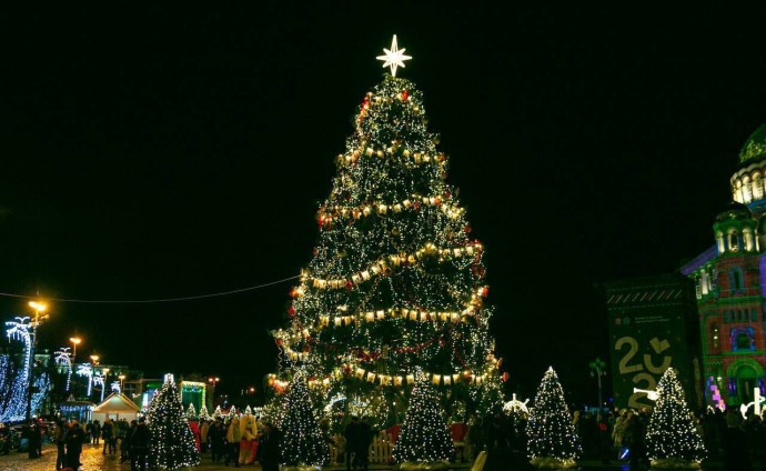 Стартовало всероссийское голосование за лучшую ёлку: Петербург представляет ель в Кронштадте