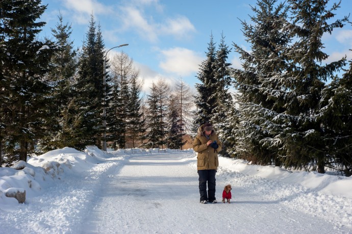 Тишковец: Наступление метеорологической зимы в Москве откладывается на неделю Тишковец: Наступление метеорологической зимы в Москве откладывается на неделю