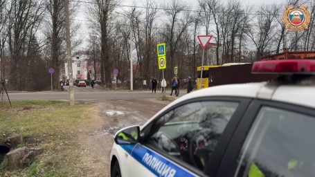 В Ярославской области с начала года зарегистрировали 225 ДТП с участием пешеходов