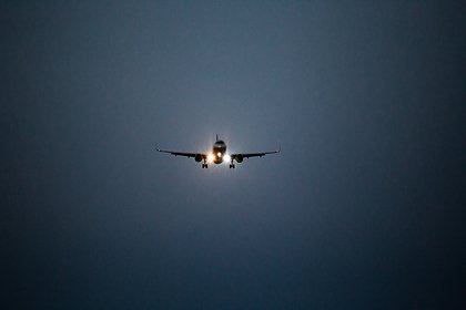 Птица сорвала полет российского самолета в Азию