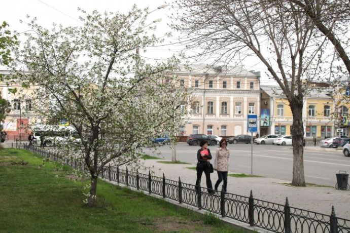 Вероятность ночных заморозков еще сохраняется