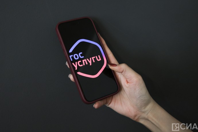 Реестр злостных неплательщиков алиментов стал доступен на «Госуслугах»