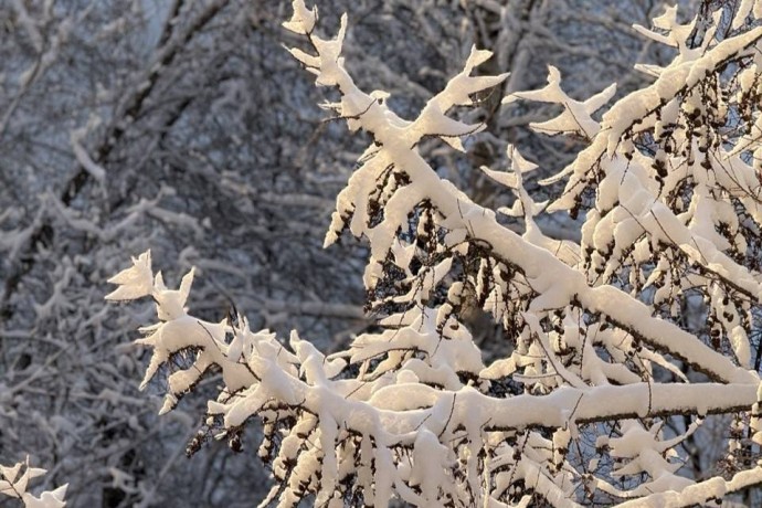 ​В Пермском крае объявлено штормовое предупреждение из-за прогноза аномальных морозов