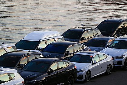 В Приморье раскрыли схему мошенничества при продаже автомобилей из Японии