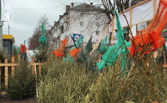 Елочные базары будут работать до 31 декабря Елочные базары будут работать до 31 декабря