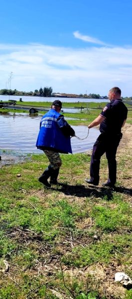 Труп нашли под Астраханью