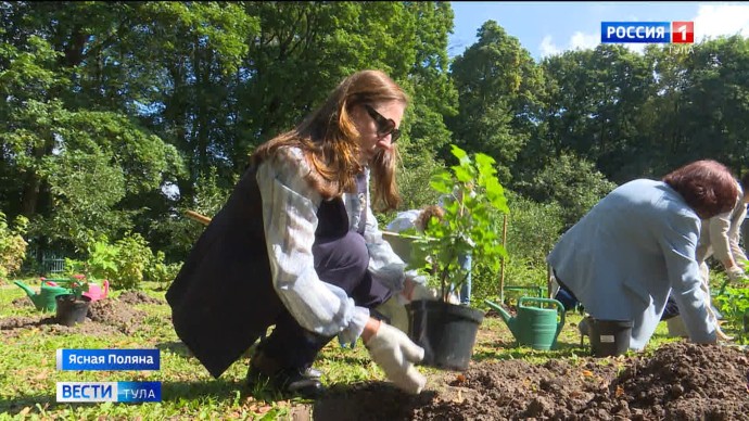 Россельхознадзор выявил в Тульской области продажу незарегистрированных семян и саженцев Россельхознадзор выявил в Тульской области продажу незарегистрированных семян и саженцев