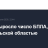 До 14 выросло число БПЛА, сбитых над Тульской областью