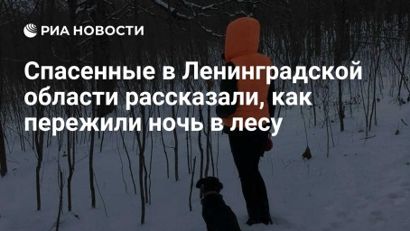 Спасенные в Ленинградской области рассказали, как пережили ночь в лесу