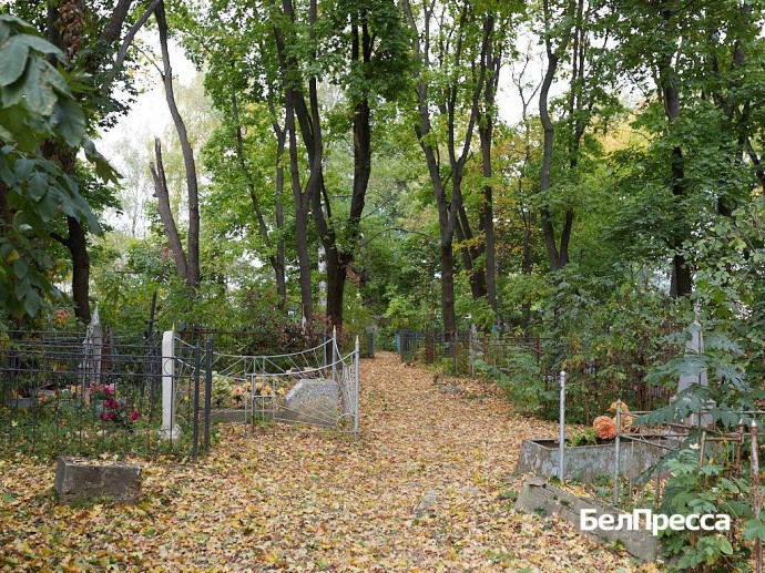 «Мы искали ответы на свои вопросы». Старооскольцы хотят сохранить старинное кладбище