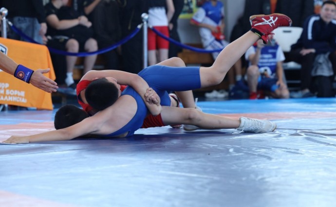 На Сахалине более 250 спортсменов приняли участие в областном турнире по вольной борьбе На Сахалине более 250 спортсменов приняли участие в областном турнире по вольной борьбе